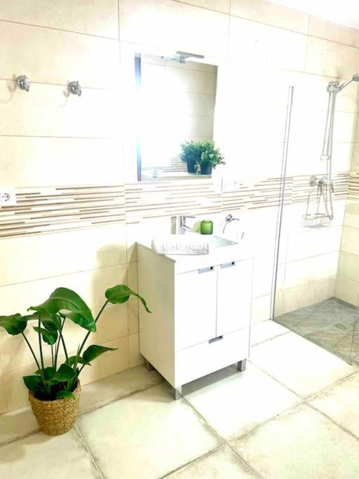 Brisa Home Chiclana de la Frontera Zewnętrze zdjęcie